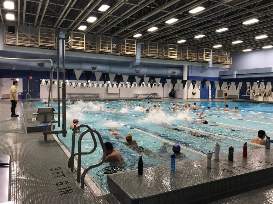 Coach Jonathan Leong watches swimmers as they practice. Photo courtesy of Melody Zhang.