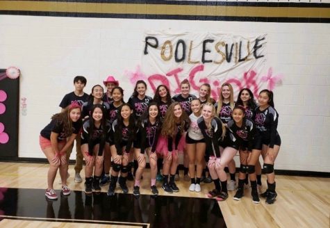 The PHS girls volleyball team poses before their annual Dig Pink game.