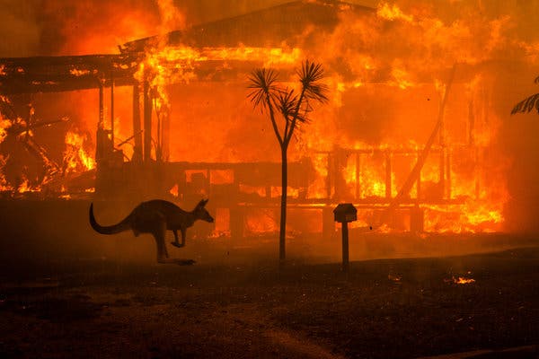 Fires in Australia ravages landscape and ecosystems, could have far-reaching consequences