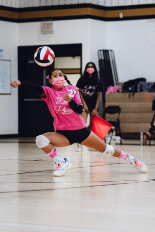Dig Pink: A game in images