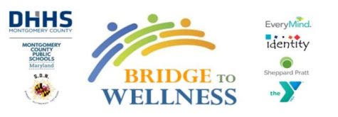 Image from Bridge to Wellness