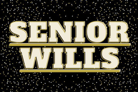 Senior Wills 2023