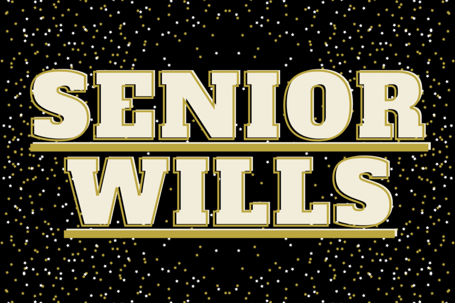 Senior+Wills+2023