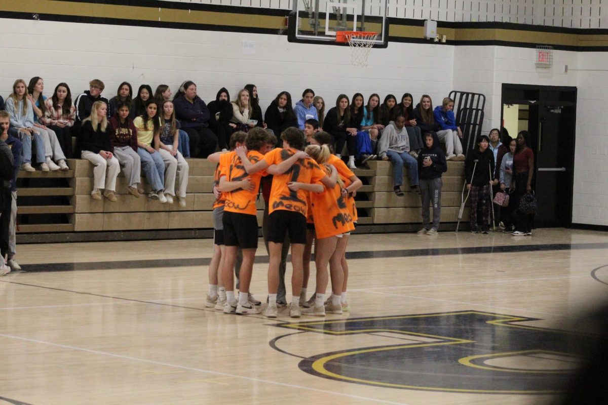 Team Meow holds a team huddle before the championship game. 