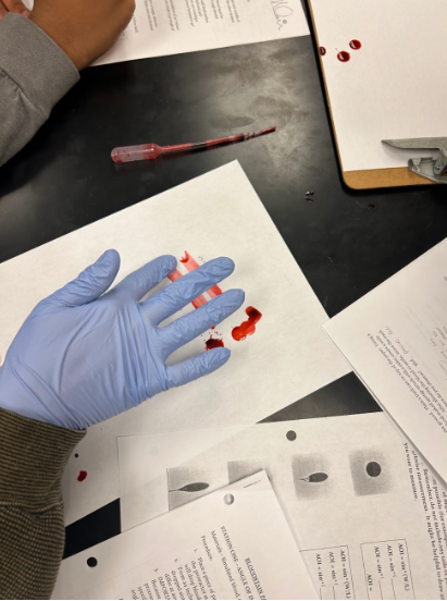 Students create their own blood smears on a piece of paper using their fingers. 