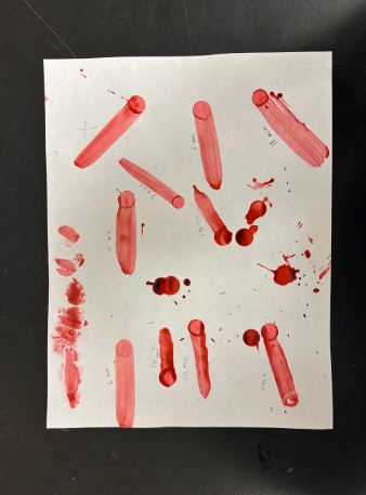 Students view their finger print smears and look at the differences in shape and color.  
