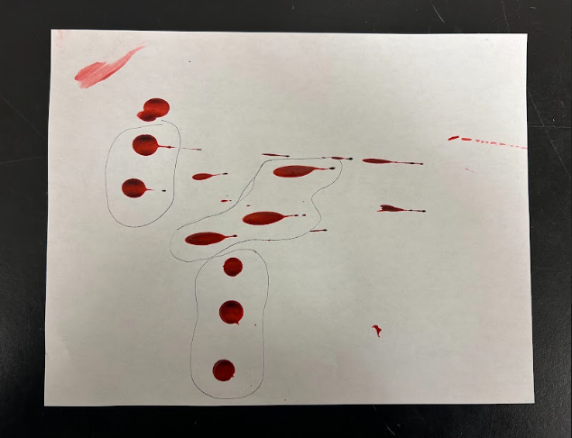 Blood that was drooped from different angles and the blood droplet that are produced. 