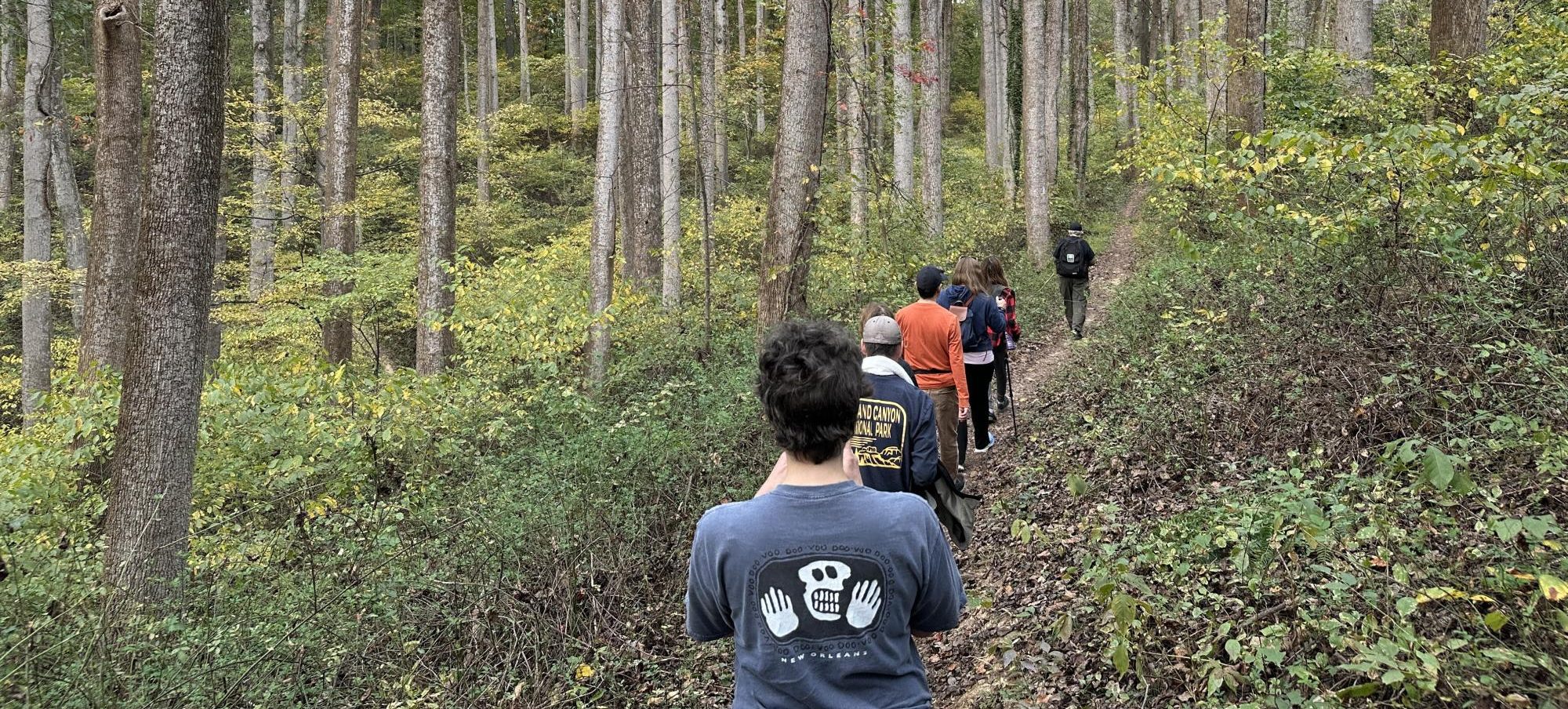 The Blair Witch Hike