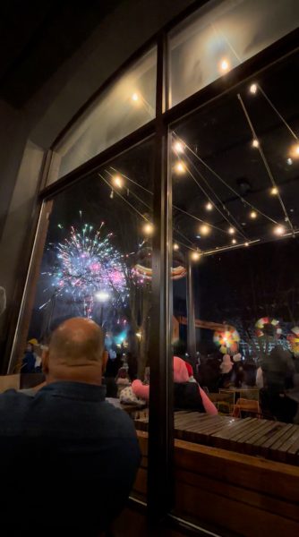 View of the fire works at Light Up the Lakefront in Rio