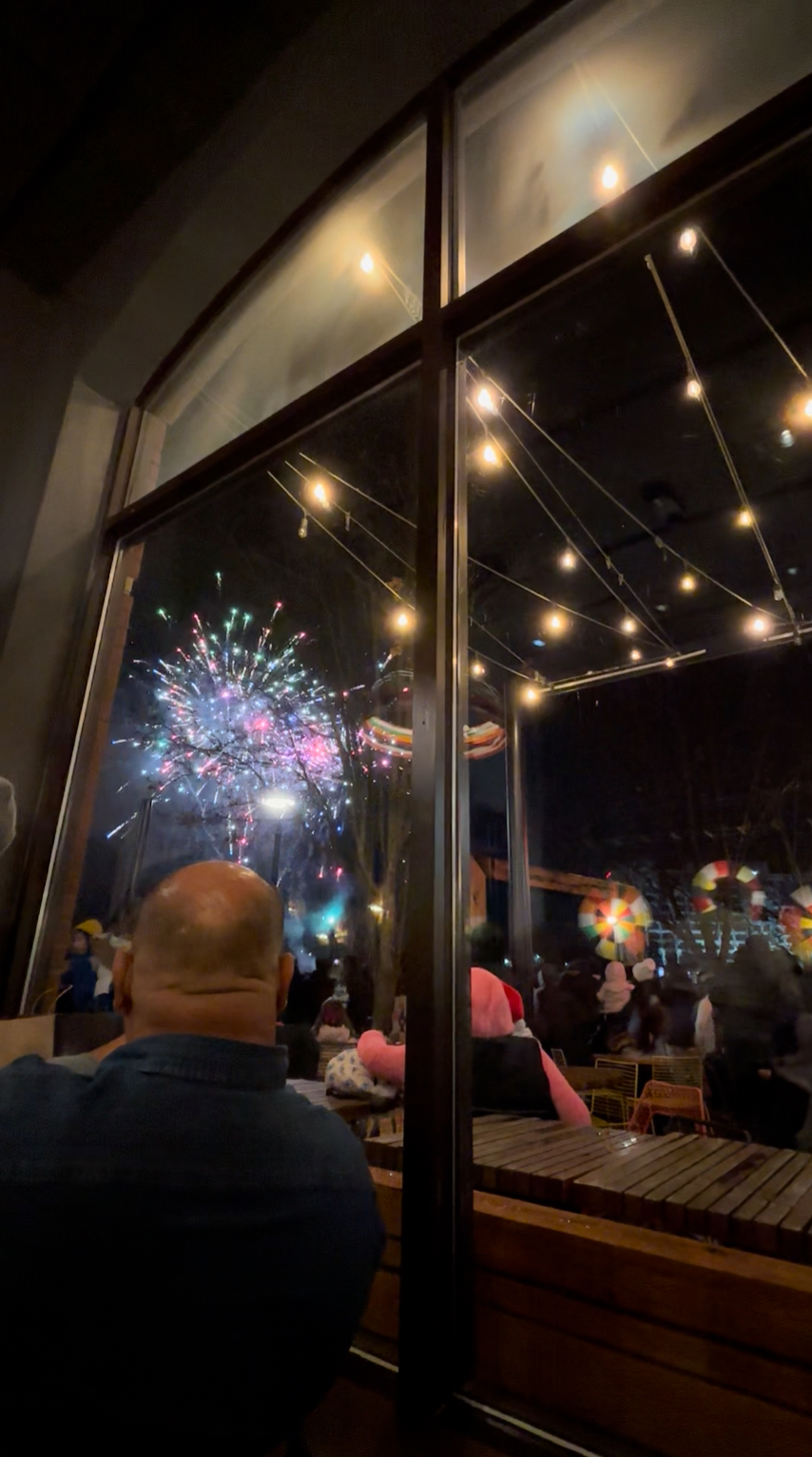 View of the fire works at Light Up the Lakefront in Rio