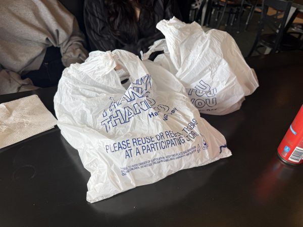 Plastic bags prior to their ban