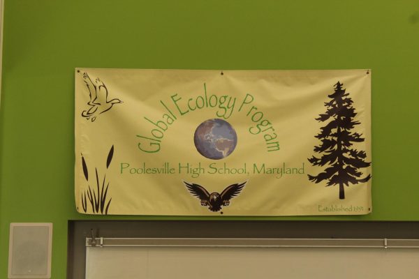 Global Ecology Poster in the Global Hub